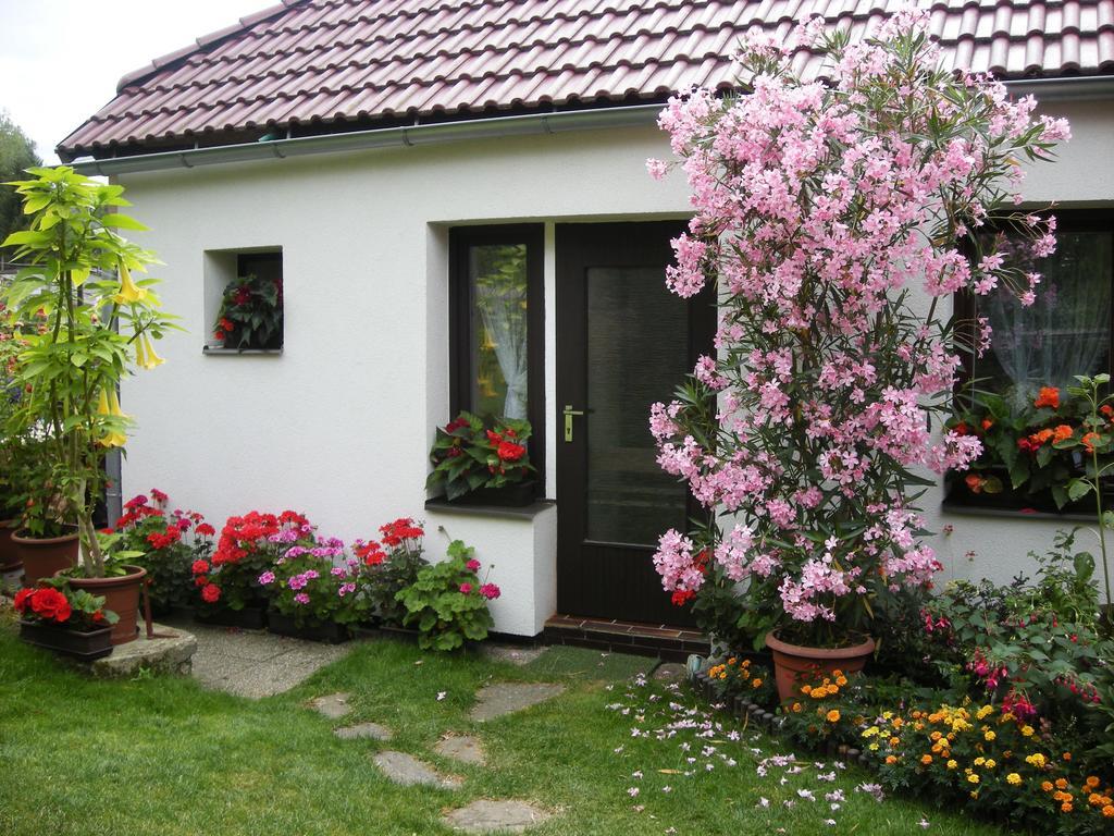 Penzion Nevcehle Urbanov Exterior photo